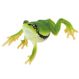 Nature Techni Colour MONO PLUS "Black-spotted Pond Frog & Schlegel's green tree frog & Tree frog" Ball chain & Magnet [4.Japanese tree frog (Yellow Green) Magnet ]