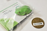 Nature Techni Colour MONO PLUS "Black-spotted Pond Frog & Schlegel's green tree frog & Tree frog" Ball chain & Magnet [5.Schlegel's green tree frog (Yellow Green) Magnet]