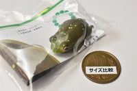 Nature Techni Colour MONO PLUS "Black-spotted Pond Frog & Schlegel's green tree frog & Tree frog" Ball chain & Magnet [6.Schlegel's green tree frog (Dark Green) Magnet]