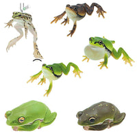 Nature Techni Colour MONO PLUS "Black-spotted Pond Frog & Schlegel's green tree frog & Tree frog" Ball chain & Magnet [All 6 type set(Full Complete)]