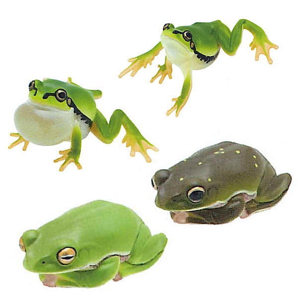 Nature Techni Colour MONO PLUS "Black-spotted Pond Frog & Schlegel's green tree frog & Tree frog" Ball chain & Magnet [Assorted 4 type set (3.4 Japanese tree frog/5.6 Schlegel's green tree frog)]