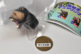 Beast King Animal Ring Part.3 [2.Gorilla]