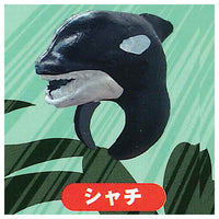 Beast King Animal Ring Part.3 [8.Killer whale]