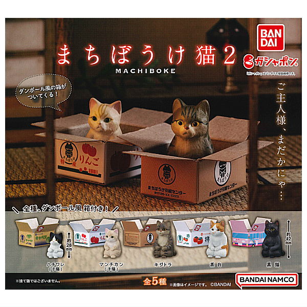 Machiboke Cat Part.2 [All 5 type set(Full Complete)]