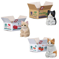 Machiboke Cat Part.2 [Assorted 3 type set (1.Hachiware (kitten)/ 2.Munchkin (kitten)/ 4.Brown white)]