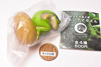 Frog Forest Studio Japanese Tree Frog [1.Green]