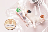 Schleich CAPSULE SCHLEICH Cat & dog [1.cat (walking)]