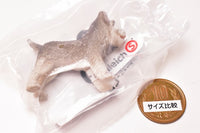 Schleich CAPSULE SCHLEICH Cat & dog [2.miniature schnauzer]