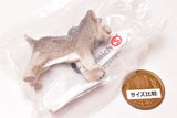 Schleich CAPSULE SCHLEICH Cat & dog [2.miniature schnauzer]