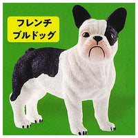 Schleich CAPSULE SCHLEICH Cat & dog [3.french bulldog]