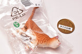 Schleich CAPSULE SCHLEICH Cat & dog [4.cat]