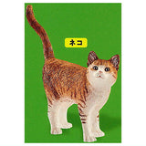 Schleich CAPSULE SCHLEICH Cat & dog [4.cat]