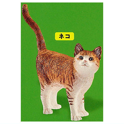 Schleich CAPSULE SCHLEICH Cat & dog [4.cat]