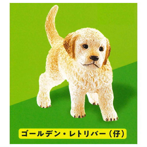 Schleich CAPSULE SCHLEICH Cat & dog [5.Golden retriever (pup)]