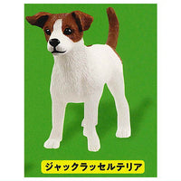 Schleich CAPSULE SCHLEICH Cat & dog [6.jack russell terrier]