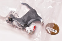 Schleich CAPSULE SCHLEICH Cat & dog [8.cat (standing)]