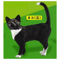 Schleich CAPSULE SCHLEICH Cat & dog [8.cat (standing)]