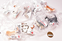 Schleich CAPSULE SCHLEICH Cat & dog [All 8 type set(Full Complete)]