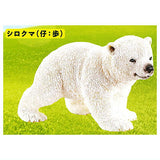 Schleich CAPSULE SCHLEICH animals [1.Polar bear (child: walk)]