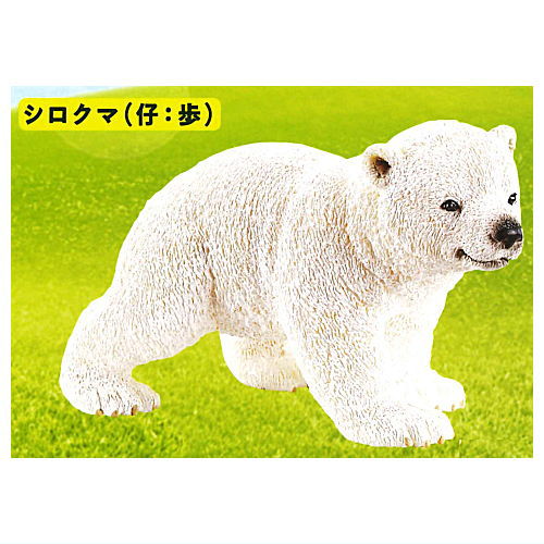 Schleich CAPSULE SCHLEICH animals [1.Polar bear (child: walk)]