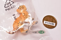 Schleich CAPSULE SCHLEICH animals [4.Cheetah (child)]