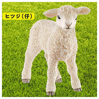 Schleich CAPSULE SCHLEICH animals [5.Sheep  (child)]