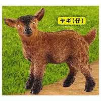 Schleich CAPSULE SCHLEICH animals [6.Goat (child)]