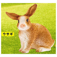 Schleich CAPSULE SCHLEICH animals [7.Rabbit]