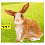 Schleich CAPSULE SCHLEICH animals [7.Rabbit]