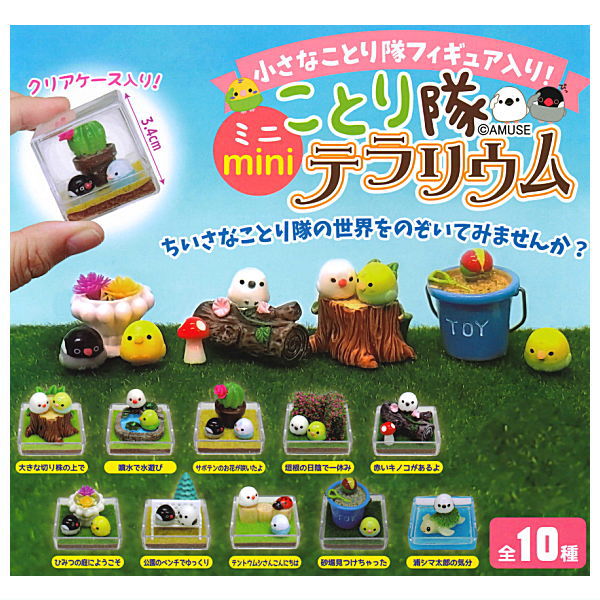 Kotori-tai mini terrarium [All 10 type set(Full Complete)]