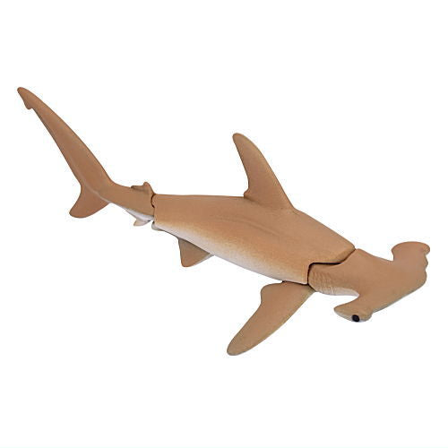 The world of the blue sea The Shark [2.Hammerhead shark]