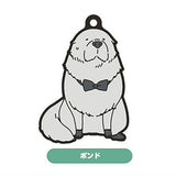 SPYxFAMILY Nendoroid Plus Capsule Rubber key chain [7.Bond Forger]