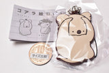 Koala picture diary rubber strap [1.Jibunwohomeru Koala]