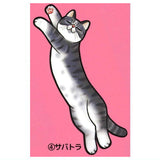 Torokeru cat mat [4.Sabatora]