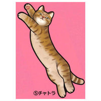 Torokeru cat mat [5.Chatora]