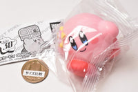 Hoshi no Kirby 30th Koronto Sofubi Part.2 [2.FLOWERED]