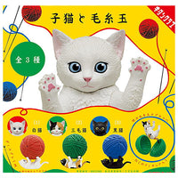 Kitten and ball of yarn [All 3 type set (Full Complete)]