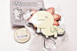 Life is Axolotl rubber strap vol.2 [4.Pukapuka Axolotl]