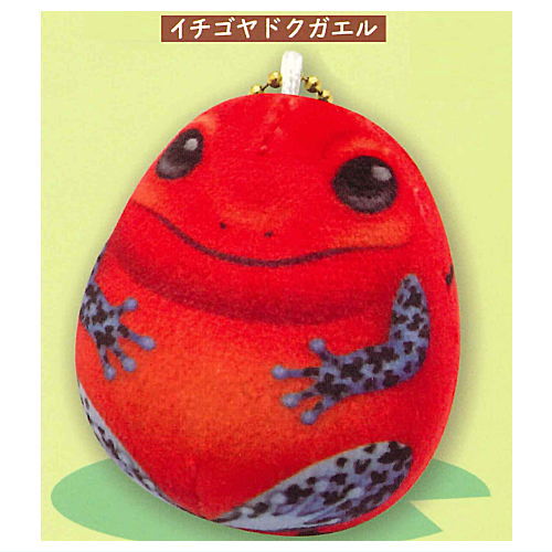 MOCHIX frog [2.Strawberry poison-dart frog]