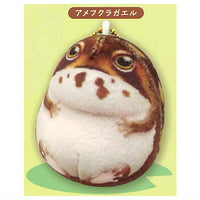 MOCHIX frog [3.Common rain frog]