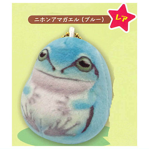 MOCHIX frog [5.Rare: Japanese Tree Frog (Blue)]