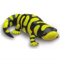 Channel wani [3.Tiger salamander]