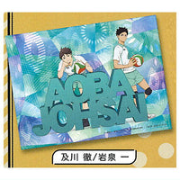 Haikyu!! Luncheon mat [7.Toru Oikawa & Hajime Iwaizumi]