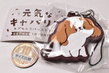 Energetic cavalier Capsule rubber strap [5.Mu]