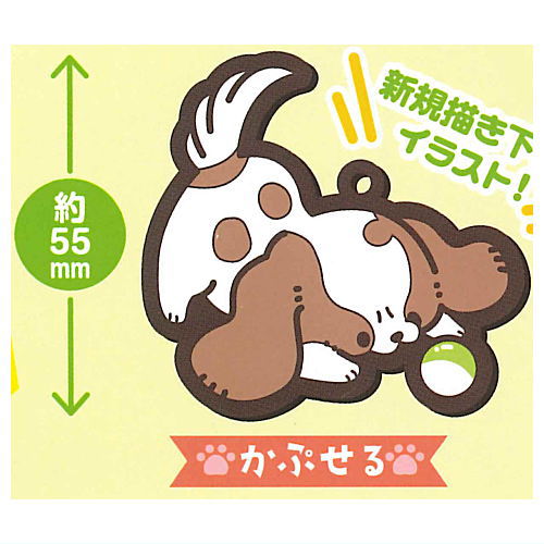 Energetic cavalier Capsule rubber strap [7.Capsule]