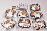 Energetic cavalier Capsule rubber strap [All 7 type set(Full Complete)]