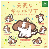 Energetic cavalier Capsule rubber strap [All 7 type set(Full Complete)]