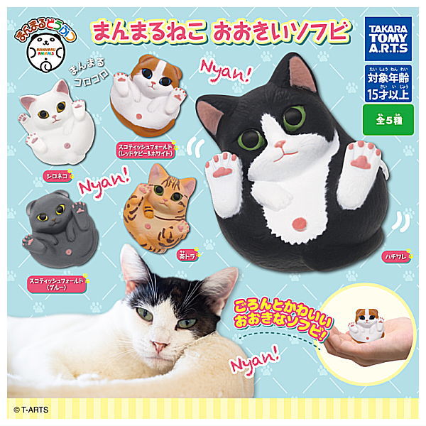 Manmaru Animals Manmaru cat Big sofubi [All 5 type set(Full Complete)]