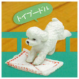 Zokingake touban All for Wan! [5.Toy poodle]