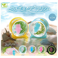 Clione Aquarium Gel Slimy [All 5 type set (Full Complete)]